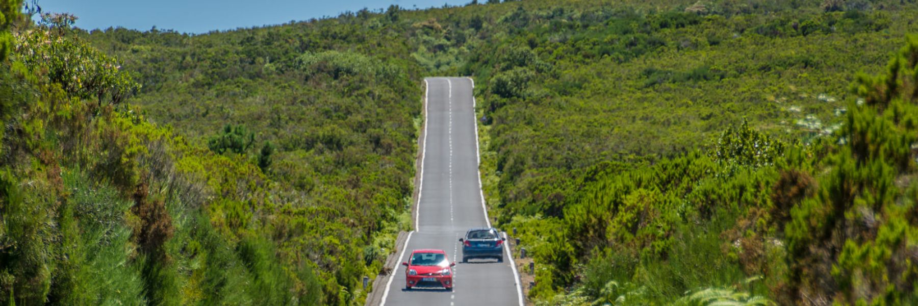 Rent a car in Madeira
